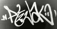 Z rival